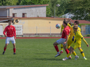 Filename=7D2K8045.jpg
Filesize=1216KiB
Dimensions=1440x1080
Date added=May 08, 2025 7D2K8045.jpg